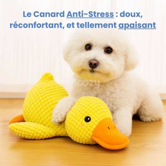 Calming duck dog toy